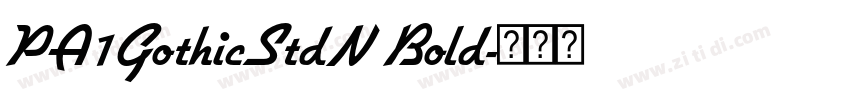 PA1GothicStdN Bold字体转换 PA1GothicStdN Bold字体转换